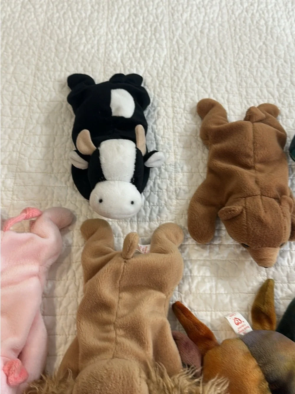 Ty Beanie Babies Plush Lot of 8